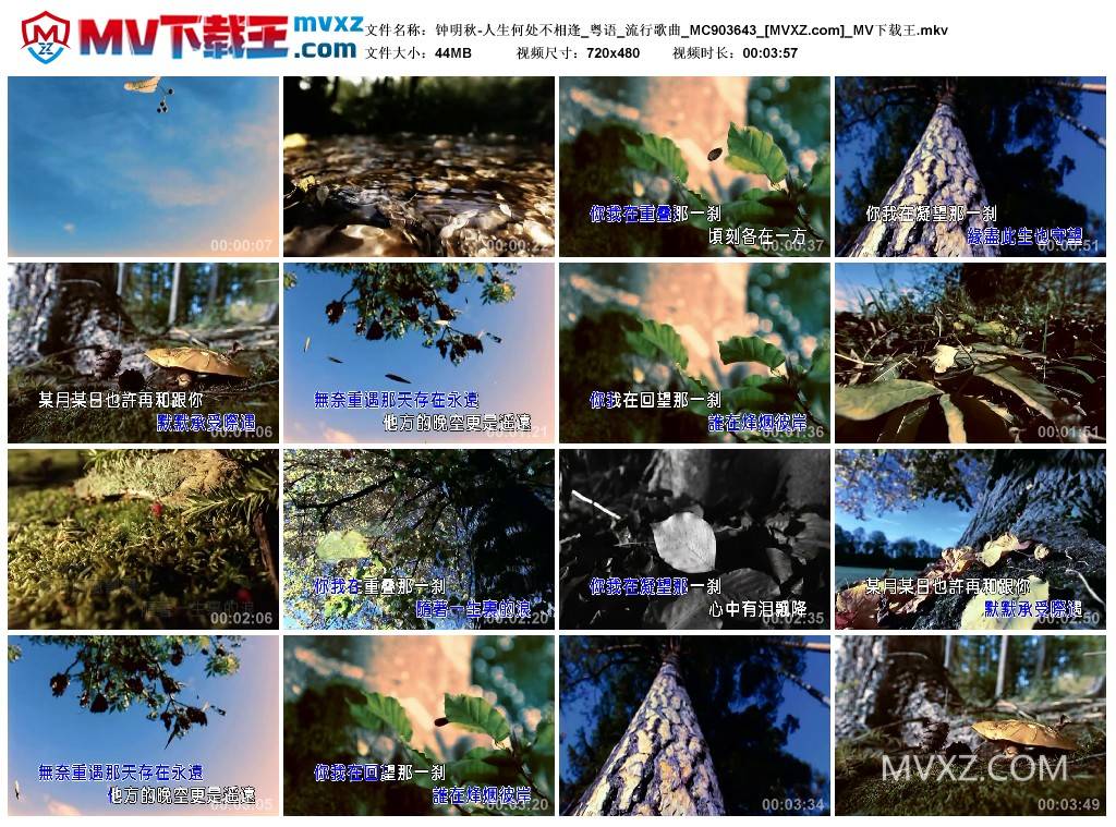 钟明秋-人生何处不相逢_粤语_流行歌曲_MC903643